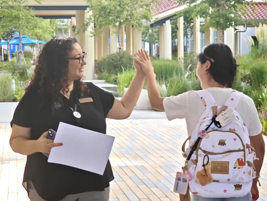 sas high five